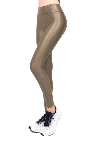 Bagliore di Cometa Safari 